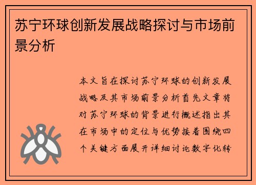 苏宁环球创新发展战略探讨与市场前景分析